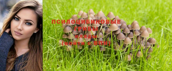 Альфа ПВП Нея