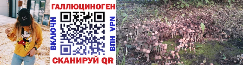 купить  сайты  Сургут  Галлюциногенные грибы GOLDEN TEACHER 
